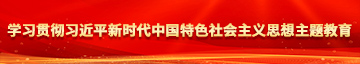 网站操捅破屁屁学习贯彻习近平新时代中国特色社会主义思想主题教育